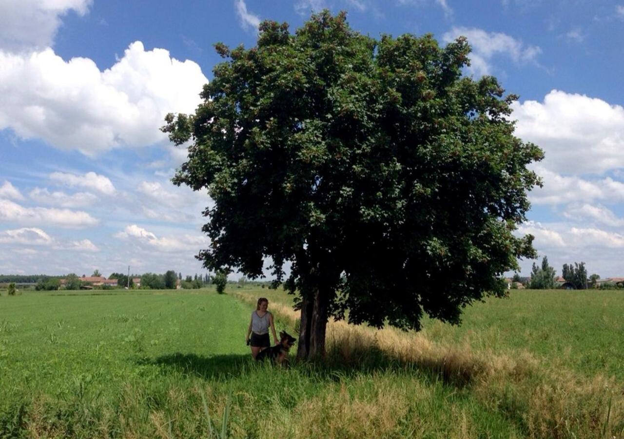 B&B Antica Cascina Boretto Екстер'єр фото
